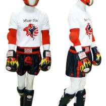 Экипировка муай тай (тайский бокс) Aryan Sport, в Самаре