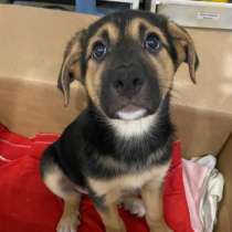 Кроху бросили на произвол судьбы, завязав в мусорный пакет, в Москве