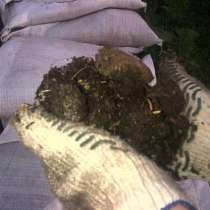 Конский навоз в мешках, в Дмитрове