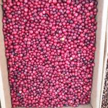 Клюква север опт, в Нижнеудинске