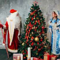 Дед Мороз в Мытищи, в Москве