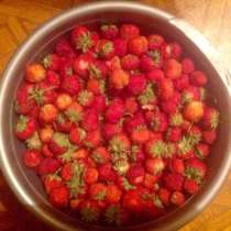 Дача, в Благовещенске