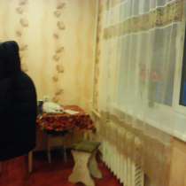 Осипенко, в Саранске
