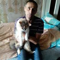 Аудио видео, в Липецке