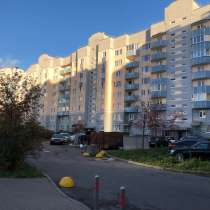 Решим технич. проблемы недвижимости, эксперт к. т. н, в Санкт-Петербурге