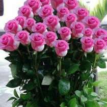 Психушка 10 книга бесплатно автора электронный вариант, в Санкт-Петербурге