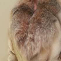 Шуба, в Раменское