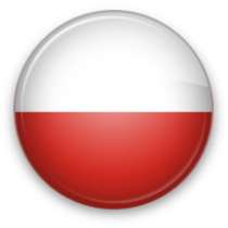 Перевод с польского языка, в г.Брест