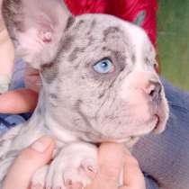 Французские плюшки, в г.Лондон