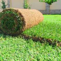 Рулонные газоны Сочи. Красиво и удобно, в Сочи