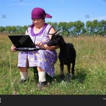 Быстрый заработок в Интернете, в Москве