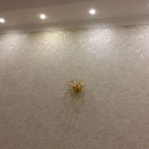 Малярные работы, быстро и качественно, без вредных привычек, в г.Кишинёв