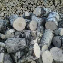 Дрова (Береза, Сухарь, Осина), в Чайковском