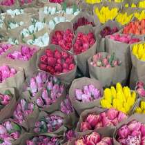 Тюльпаны оптом, в г.Донецк