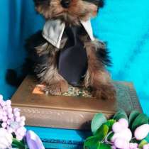 Йоркширский терьер мальчик 3 месяца, в Москве