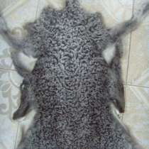 Каракуль Афган и Бухара, в г.Бухара