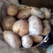 Продам картофель, в Благовещенске