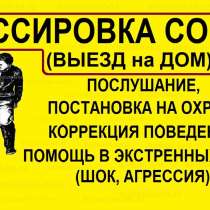 Кинолог с выездом на дом, в Наро-Фоминске