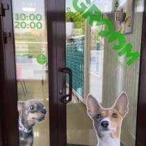 Грумминг (стрижка животных), в Сургуте