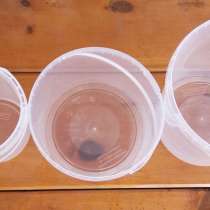 Пластиковая тара (ведёрки) 0.2л, 1л., 2л., 3л, в Новосибирске