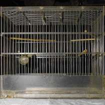 Клетка для птиц, в Смоленске