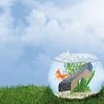 Подоконники Topalit - качество + долговечность, в г.Днепропетровск