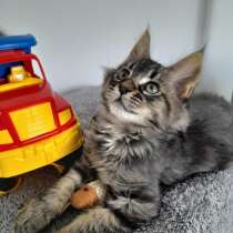 Мейнкунчики, в г.Кишинёв