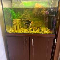 Аквариум с тумбой, в Зеленограде