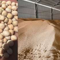 Горох продовольственный оптом, в Новороссийске