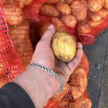Продажа Картофеля, в Краснодаре