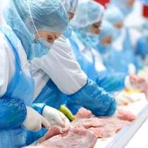 Muncitori necalificați în industria alimentară. Polonia, в г.Кишинёв