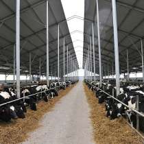 Крупные фермерские хозяйства,земли,мясокомбинаты,бойни,элева, в Волгограде