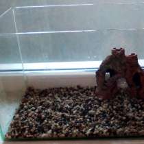 Аквариум, в Камышине