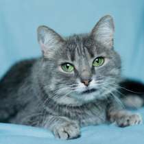 Эйна – зеленоглазая фея, в г.Минск