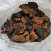 Гриб Чага березовый от производителя, в Москве