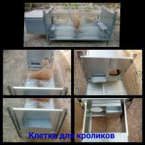 Клетки для кроликов, в г.Минск