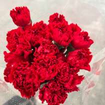 Гвоздика Турция цветы, в Краснодаре