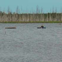 Дом в дер. Полубарское. Московская область, в Сергиевом Посаде