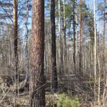 Продаю участок 15 сот ИЖС, в д. Новолисиха, 12 км Байкальско, в Иркутске