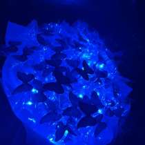 Букеты из бабочек, в Владикавказе