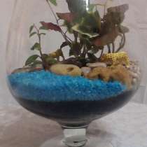 Флорариум с леопардами, в Ростове-на-Дону