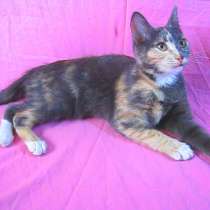 Природа творит чудеса, в г.Усть-Каменогорск