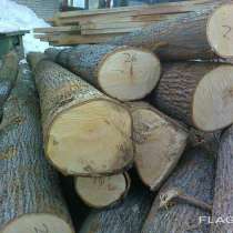 Лес на корню-Осина, в Гатчине