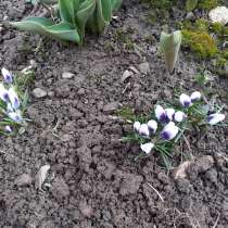 Продам участок в Лисьих Ямках 2 по арзамаской дороге. 10км о, в Нижнем Новгороде