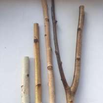 Жердочки для птиц, в Екатеринбурге