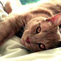 Аккаунт ЦИАН 2007 года, в Москве