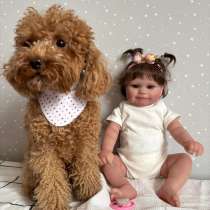 Кукла реборн Амелия, в Тольятти