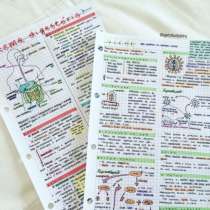 Домашние задание, в Севастополе