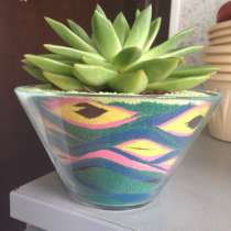 Флорариум. Сад в бутылке. Изготовление на заказ, в Ростове-на-Дону