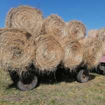 Сено в рулонах и квадратных тюках, в Тамбове